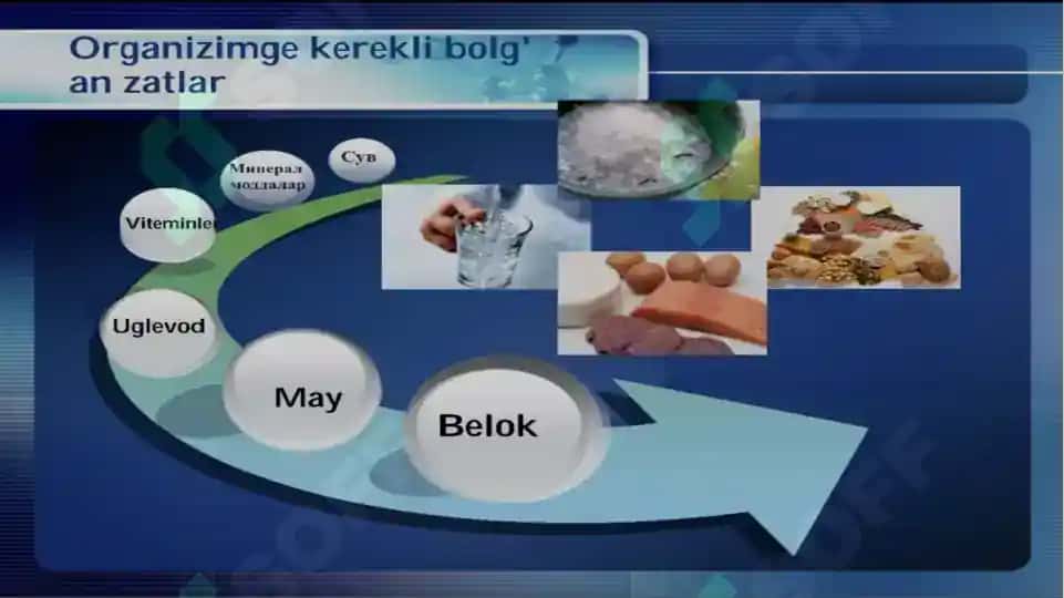 rocianal awqatlanıw 4