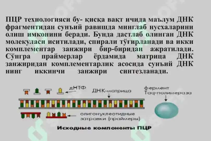 ГЕНОМИКА МЕТОДЛАРИ 4