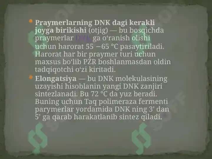 Polimeraz Zanjirreaksiyasi (PZR) 6