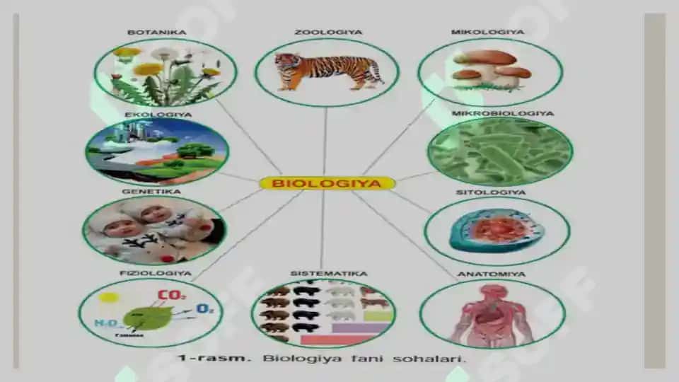 Biologiya hayot haqidagi fan 3
