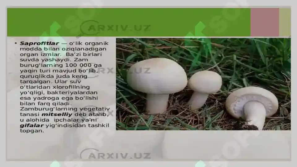 Biologiya hayot haqidagi fan 8