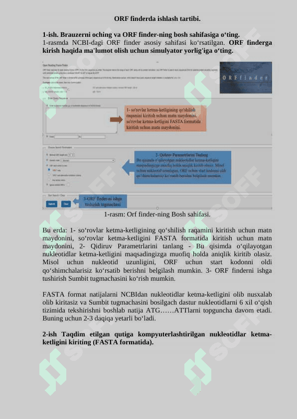 Hisoblashning ochiq ramkasini izlash. ORF Finder dasturida ishlash. 7