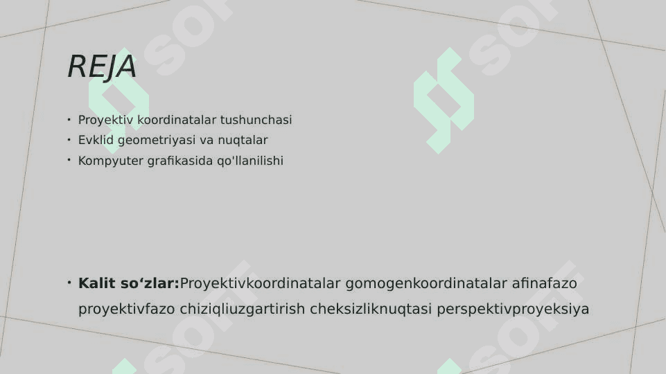 Proyektiv koordinatalar 2