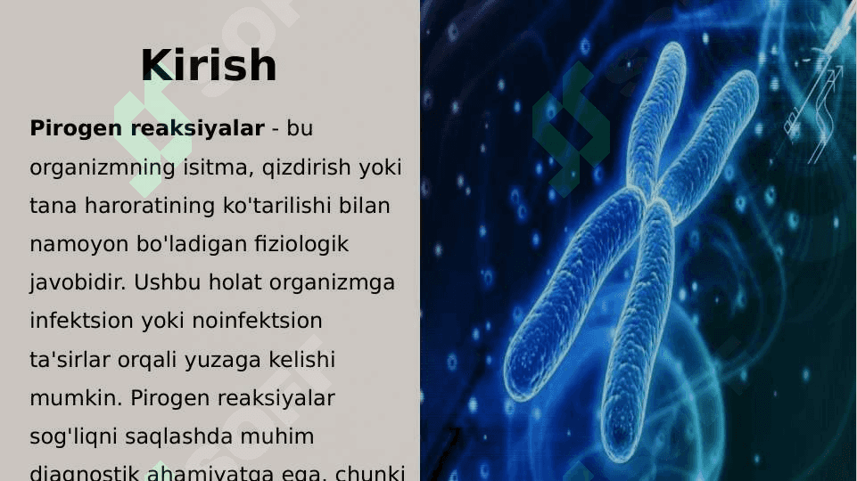 Pirogen Reaksiyalar: Sabablari, Klinikasi, Diagnostikasi va Birinchi Yordam 2