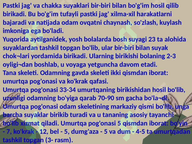 Tayanch harakat sistemasining organlari 5
