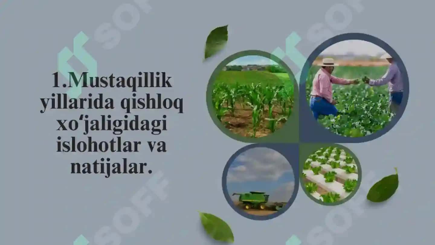Oʻzbekistonda Mustaqillik yillarida qishloq xoʻjaligi va sanoat sohasidagi oʻzgarishlar 3
