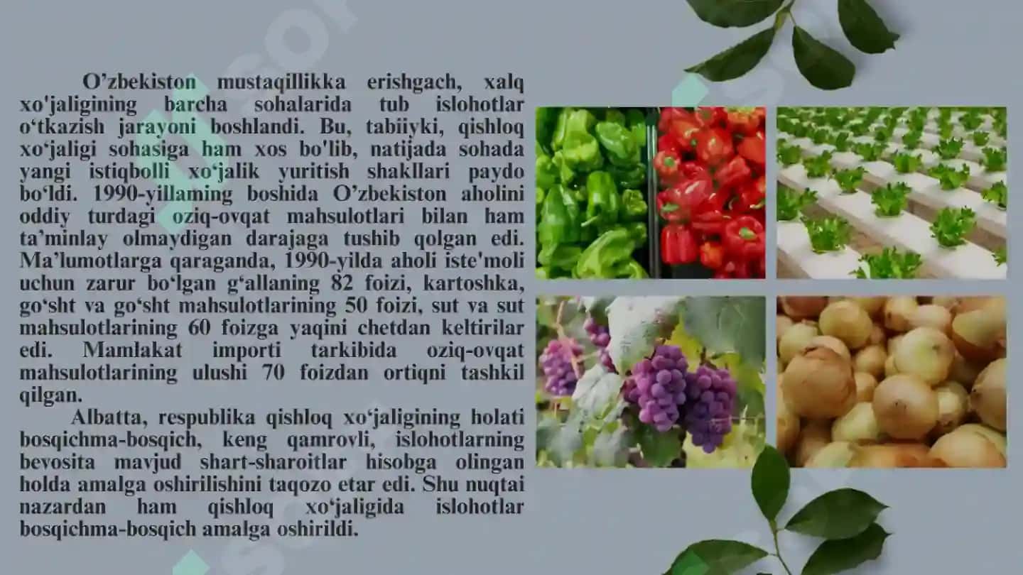 Oʻzbekistonda Mustaqillik yillarida qishloq xoʻjaligi va sanoat sohasidagi oʻzgarishlar 4