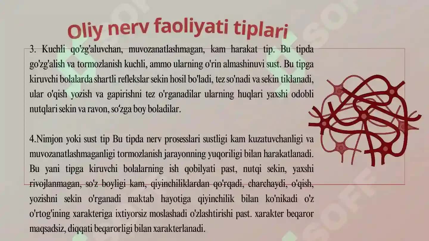 Oliy nerv faoliyatining tiplari 7