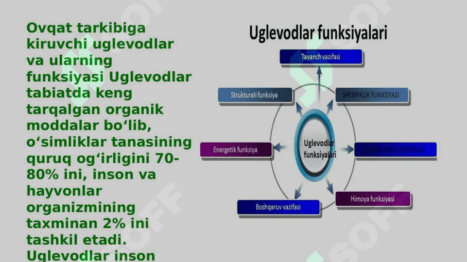 Uglevodlar&lipidlar 3