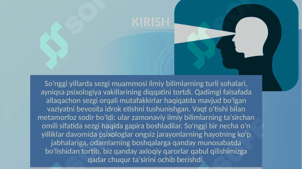 Sezgi 4