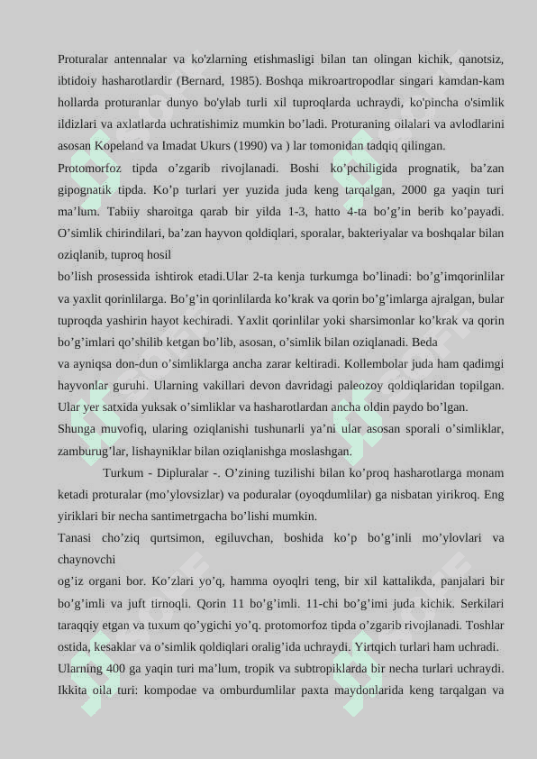 Proturalar 6