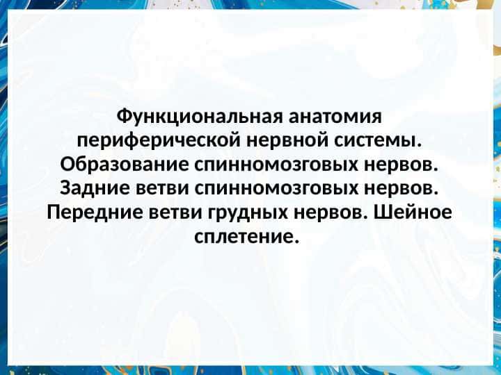 Функциональная анатомия периферической нервной системы.