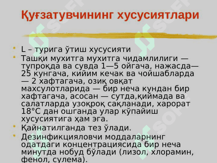 Ич терлама – қорин тифи (typhus abdominalis) 5