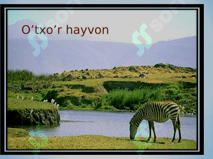 YER QOBIQLARINING O‘ZARO TA’SIRI 3