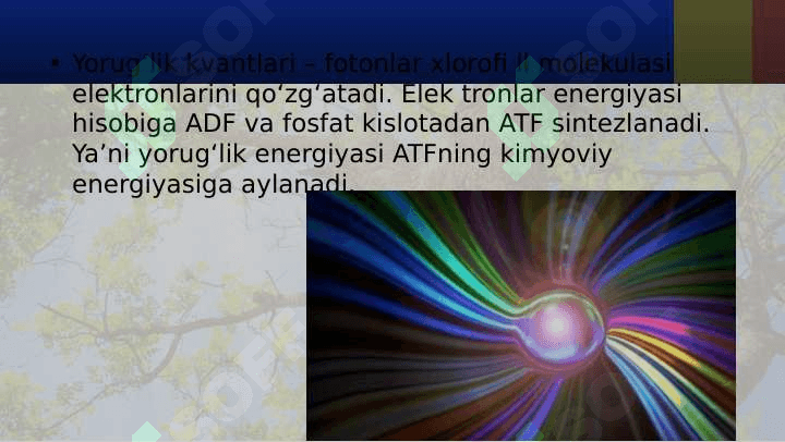 PLASTIK ALMASHINUV. FOTOSINTEZ. XEMOSINTEZ. 8