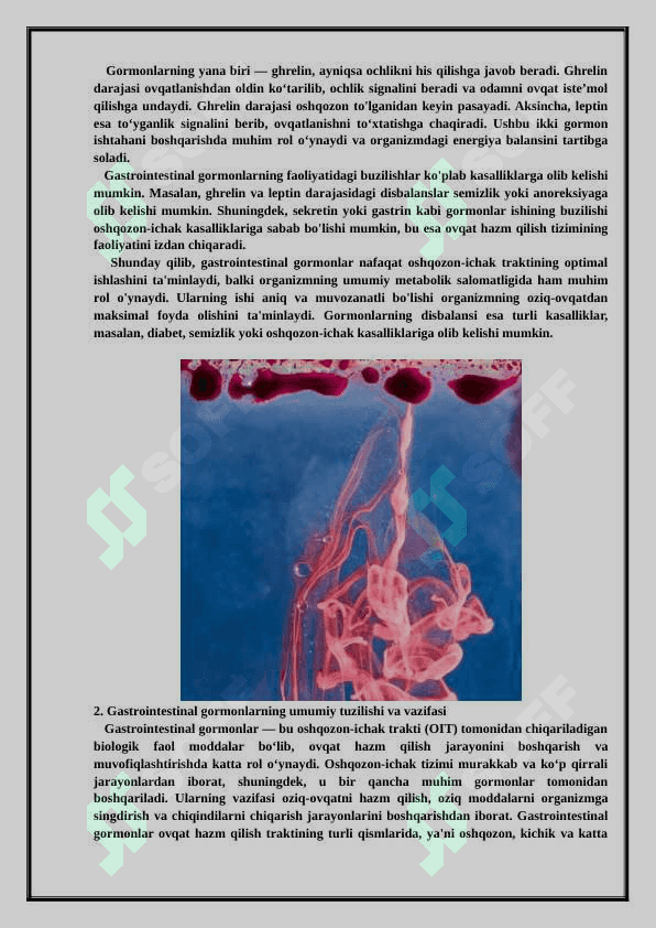 Gastrointestinal garmonlar 3
