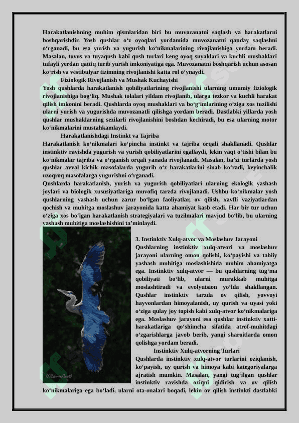 Qushlarning individual -rivojlanish xususiyatlari (2) 4