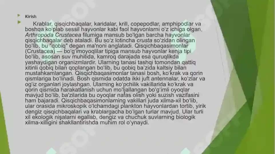 Qisqichbaqasimonlar (Сrustatsea) kenja tipi sistematikasi, filogeniyasi ekologiyasi 3