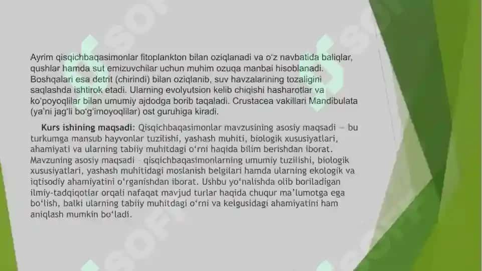 Qisqichbaqasimonlar (Сrustatsea) kenja tipi sistematikasi, filogeniyasi ekologiyasi 4