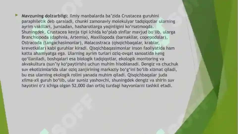 Qisqichbaqasimonlar (Сrustatsea) kenja tipi sistematikasi, filogeniyasi ekologiyasi 5