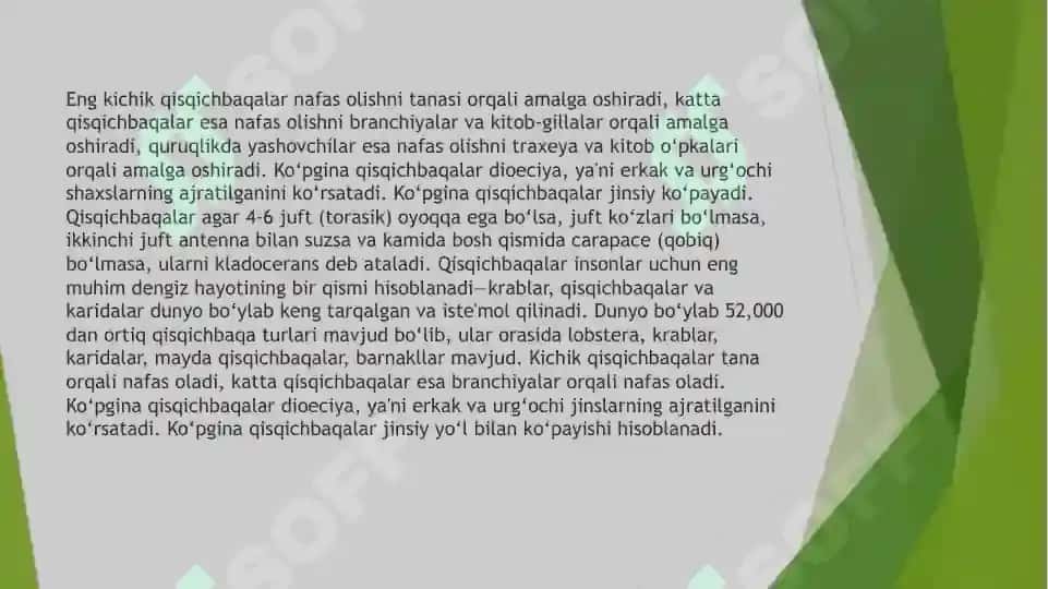 Qisqichbaqasimonlar (Сrustatsea) kenja tipi sistematikasi, filogeniyasi ekologiyasi 6