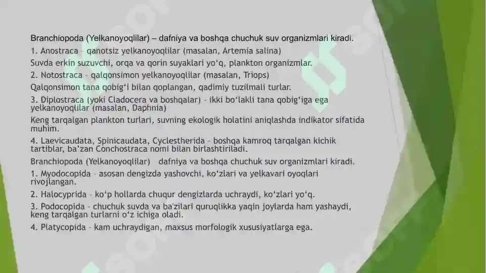 Qisqichbaqasimonlar (Сrustatsea) kenja tipi sistematikasi, filogeniyasi ekologiyasi 8