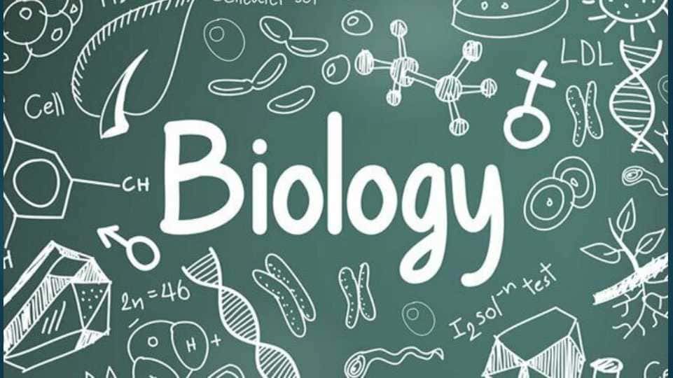 biologiya 1