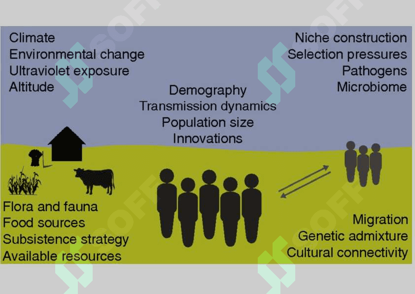 Language change and factors that influence it 4