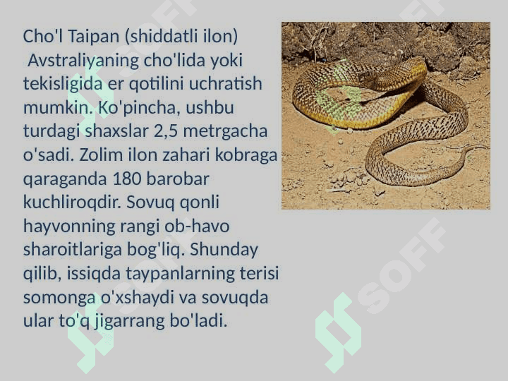 Ilonlar, tuzilishi, hayot kechirishi va turlari 7