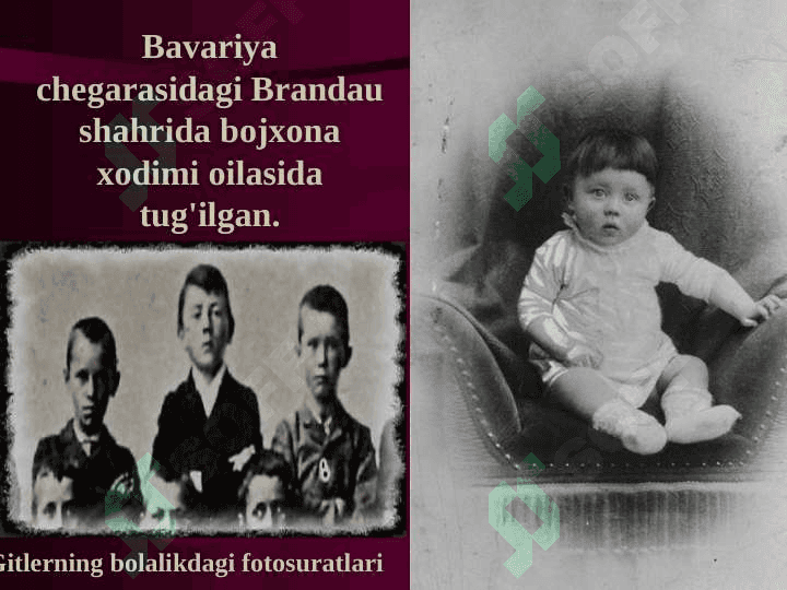 Adolf Gitler va Uchinchi Reyx 2