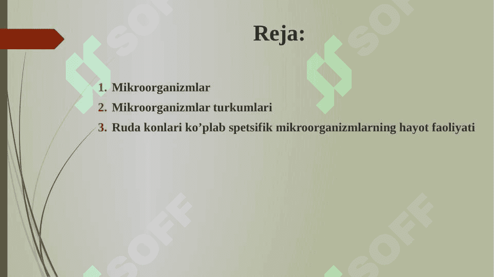 Mikroorganizmlar ularning turlari qoʼllanilish sohalari 2