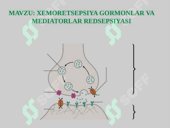 XEMORETSEPSIYA GORMONLAR VA MEDIATORLAR REDSEPSIYASI 2