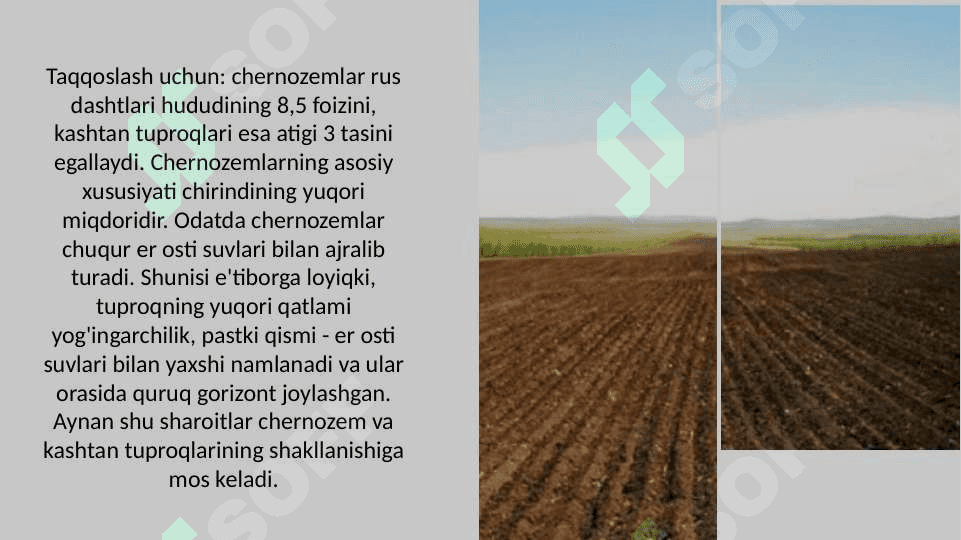 Kashtan tuproqlar 8