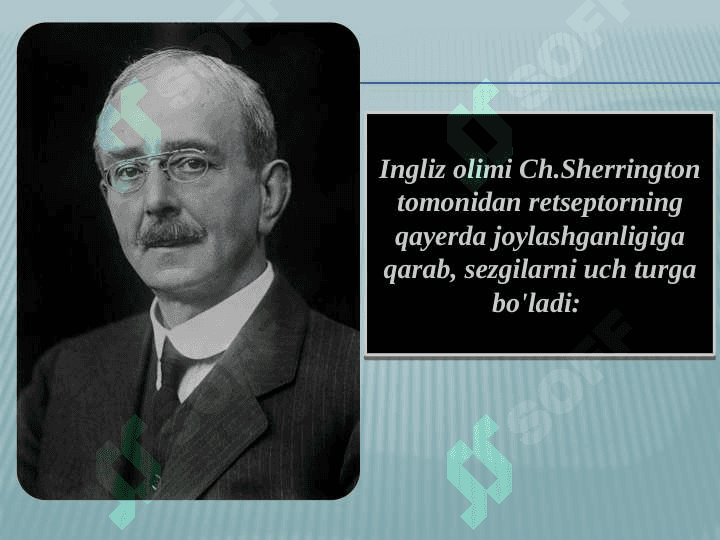 SEZGI 4