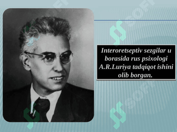 SEZGI 6