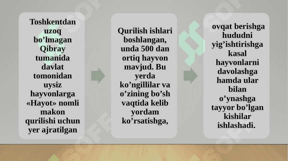 Jonivorlarga g‘amxo‘rlik qilish 8