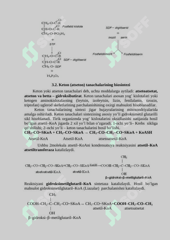 lipidlarni anabolizmi. Lipidlar biosentizi.Biologik membrana trasnporti 4