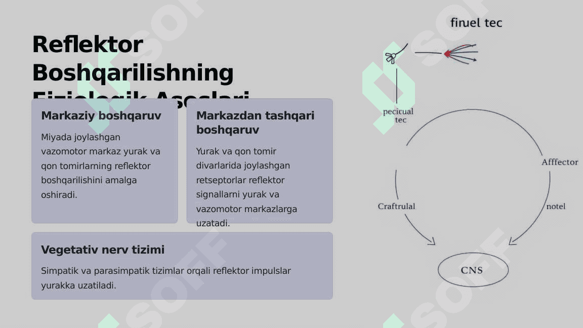Fiziologiya ,,Yurakning boshqarilish mexanizmlari" 3