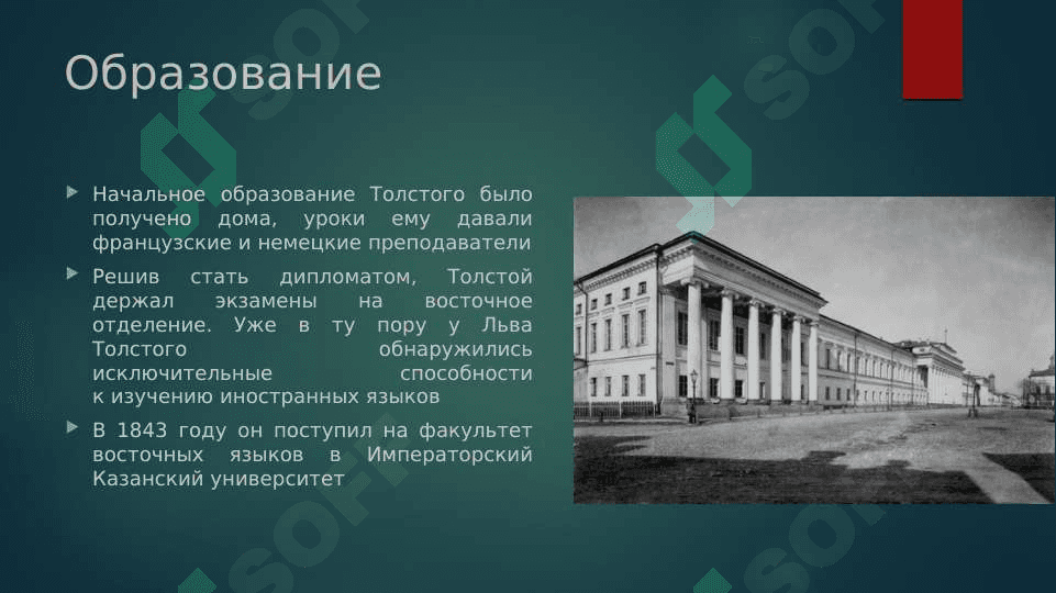Лев Николаевич Толстой 6