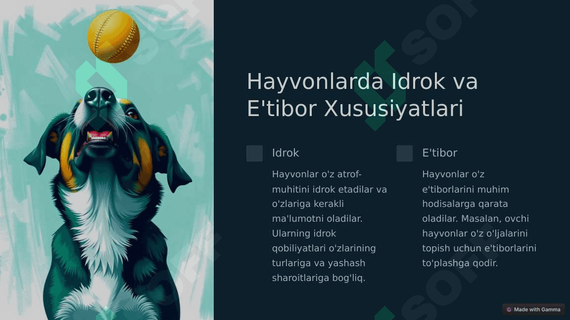 Hayvonlar-Psixikasi-Dunyoqarash-va-Xulq-Atvor.pptx 3