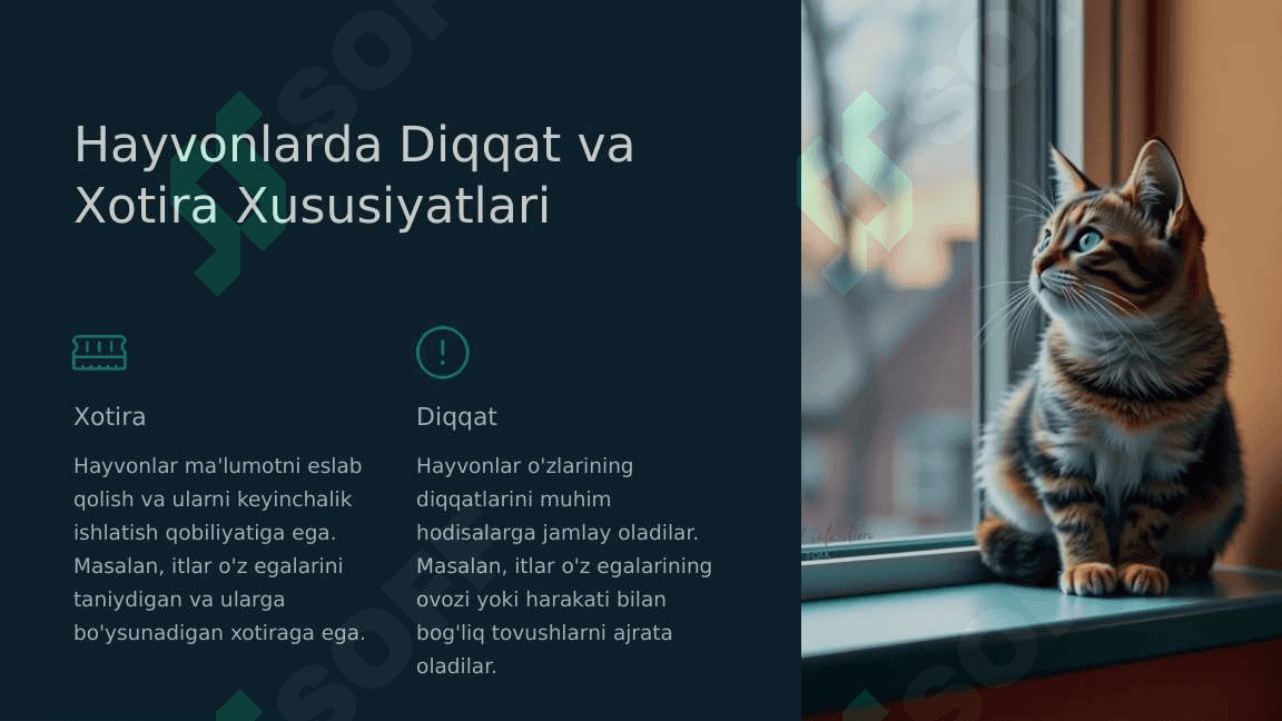 Hayvonlar-Psixikasi-Dunyoqarash-va-Xulq-Atvor.pptx 4