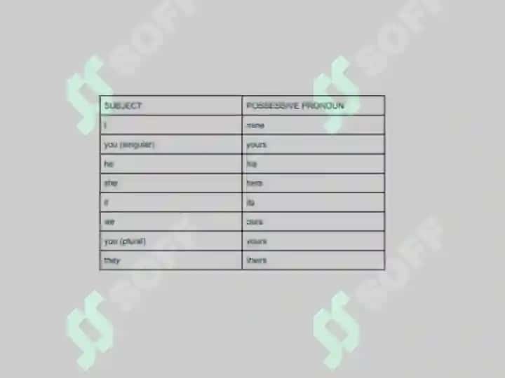 Possessive pronouns (slayd, 11 bet) 3