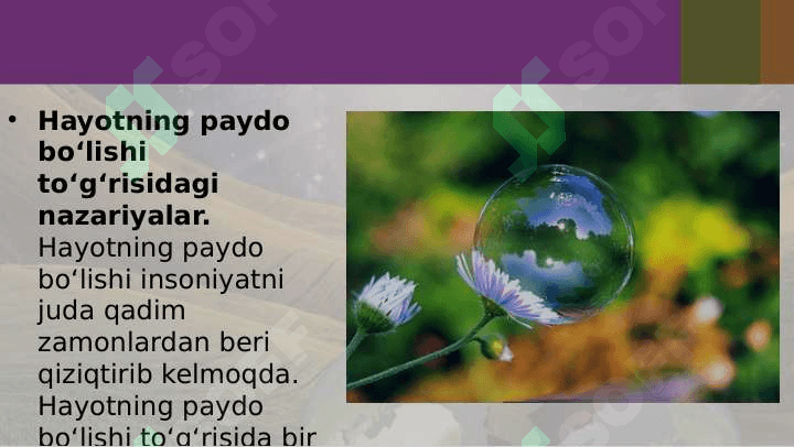 YERDA HAYOTNING PAYDO BO'LISHI HAQIDA NAZARIYALAR. 3