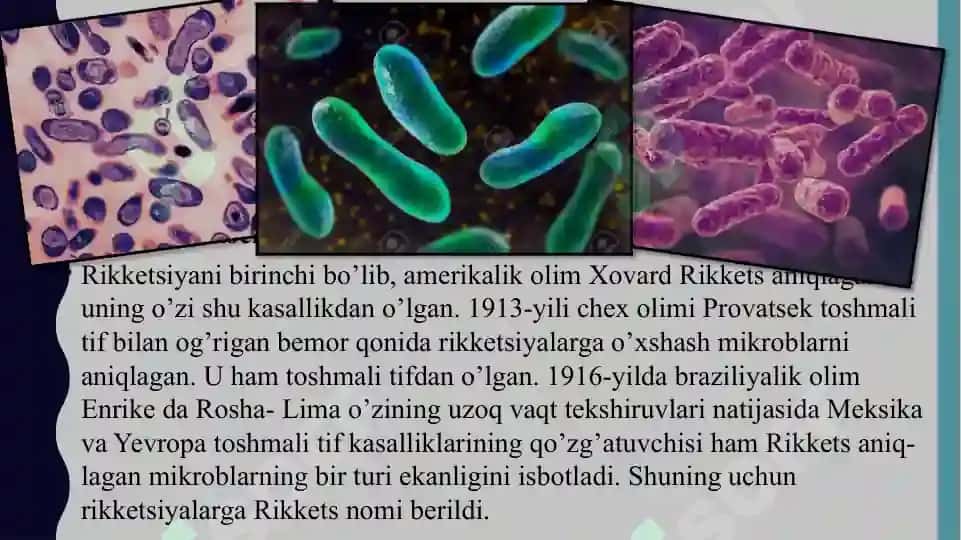 Rikketsiozlar 2