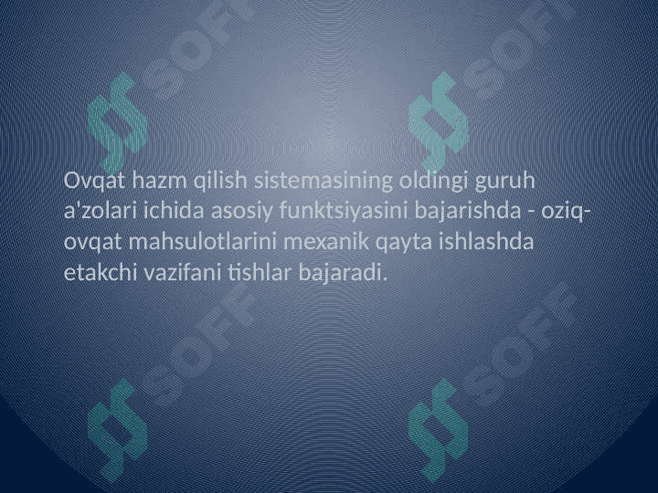 Tish qattiq to'qimalarining 
     gistalogik tuzilishi 2