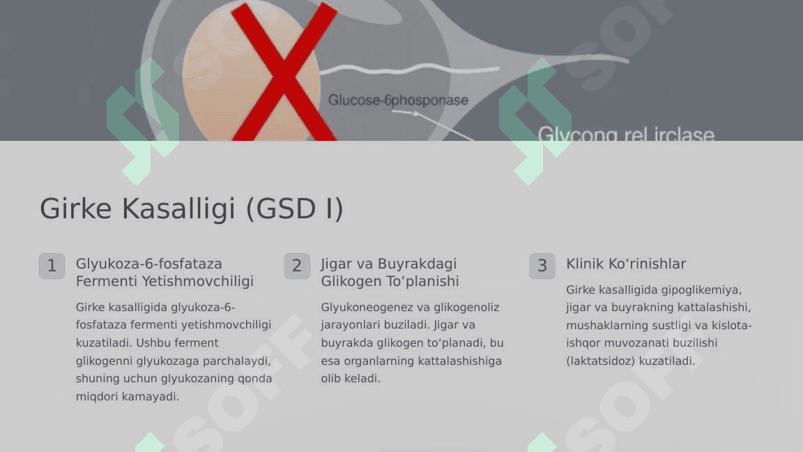 Glikogenozlar. Girke, Pompe, Kyuri, Andersen, Mak-Ardl kasalliklari 3