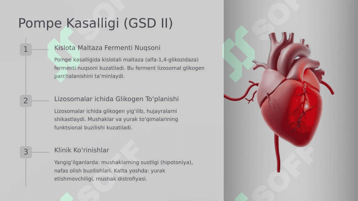 Glikogenozlar. Girke, Pompe, Kyuri, Andersen, Mak-Ardl kasalliklari 4