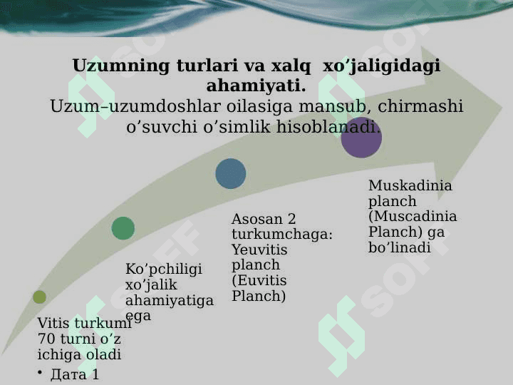 UZUM MAHSULOTLARINING SIFAT KO’RSATKICHLARINI ANIQLASHDA ZAMONAVIY FIZIK-KIMYOVIY USULLARNING QO’LLANILISHI 4