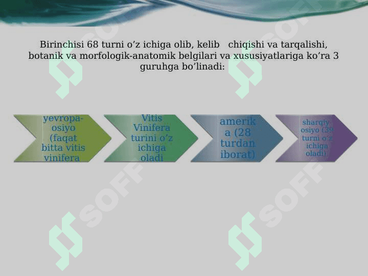 UZUM MAHSULOTLARINING SIFAT KO’RSATKICHLARINI ANIQLASHDA ZAMONAVIY FIZIK-KIMYOVIY USULLARNING QO’LLANILISHI 5