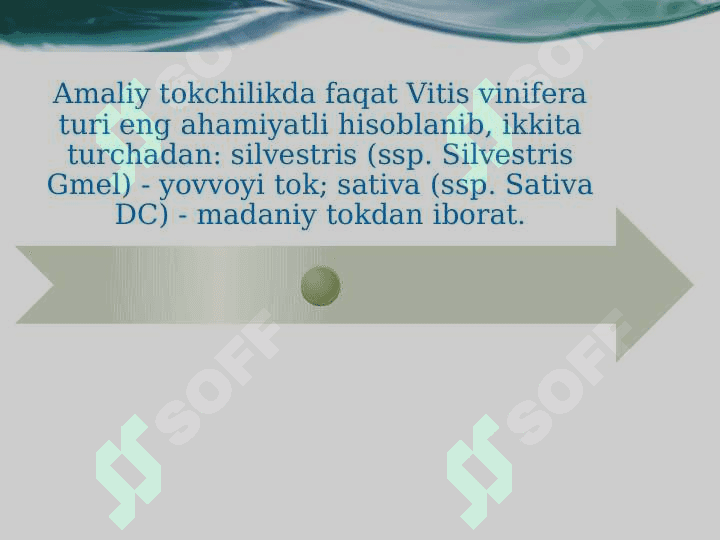 UZUM MAHSULOTLARINING SIFAT KO’RSATKICHLARINI ANIQLASHDA ZAMONAVIY FIZIK-KIMYOVIY USULLARNING QO’LLANILISHI 6